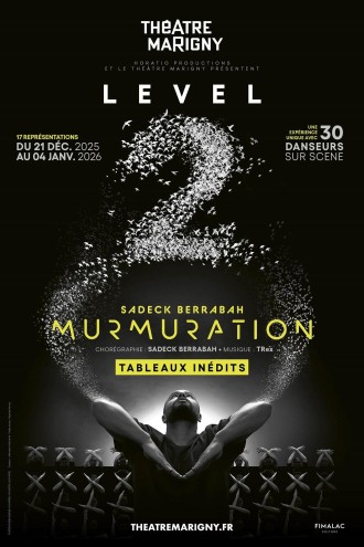 Affiche pour Murmuration