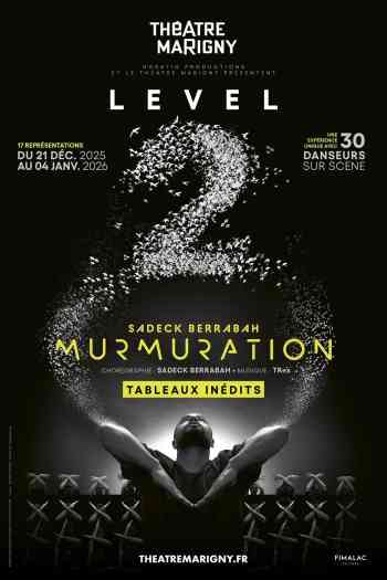 Affiche pour Murmuration